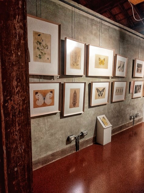 Štěpán Zavřel,Lena Anderson  e le Bibliosacche, Marc Martin, Octavie Wolters, Eric Puybaret, Arianna Papini, Francesca Ballarini, Emma Giuliani, Sarah Cheveau, Suzuko Momoyama,