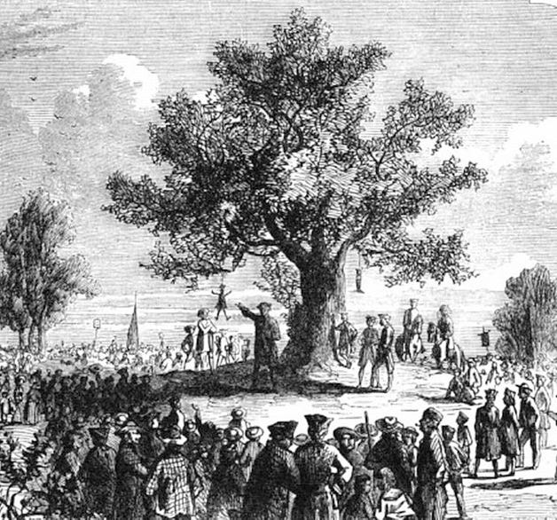 Liberty_Tree.jpg (628×586)