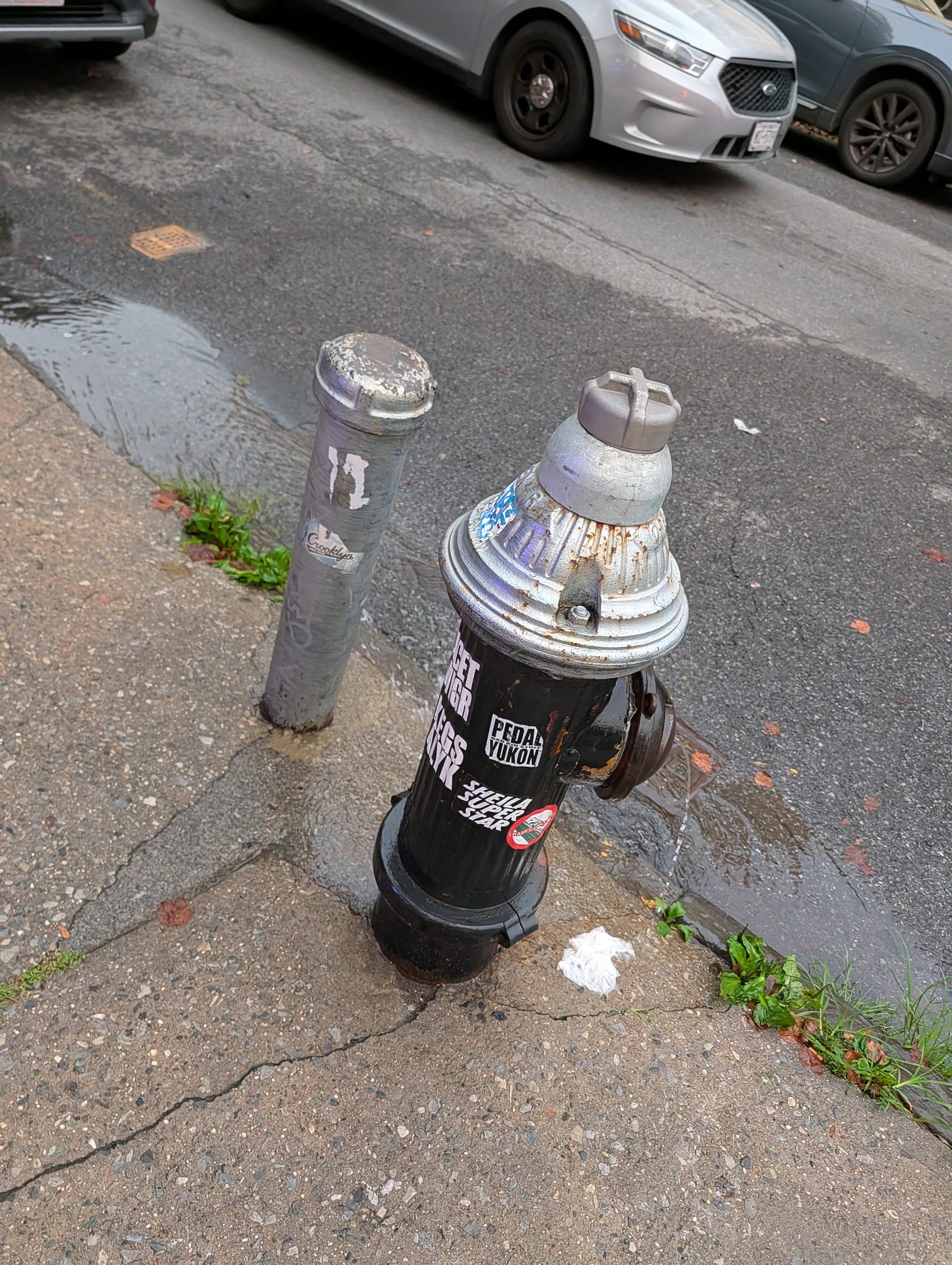 A black-and-silver fire hydrant on a New York City sidewalk, with water running from an open side outlet into the gutter. A black-and-silver fire hydrant on a New York City sidewalk, with water running from an open side outlet into the gutter.