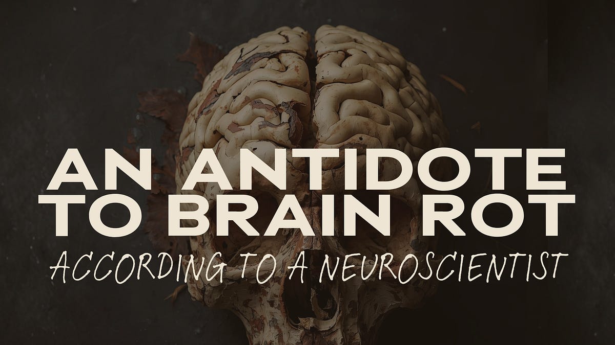 4 Brain Rots An antidote to brain rot (according to a neuroscientist)
