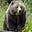 Grizzly96's avatar