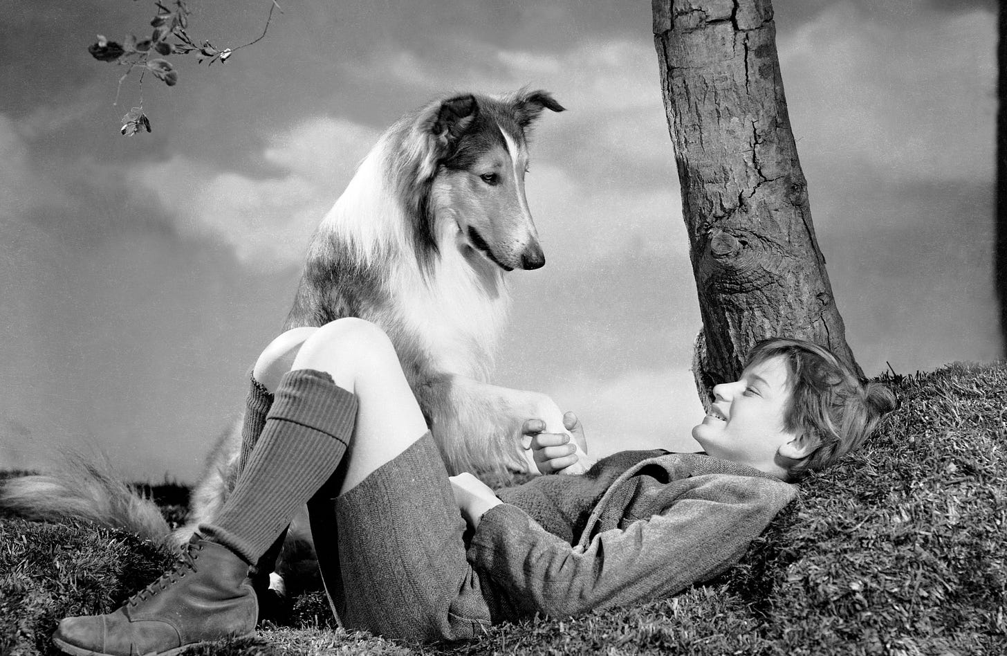 Lassie Come Home (1943) - Turner Classic Movies