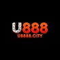 U888's avatar