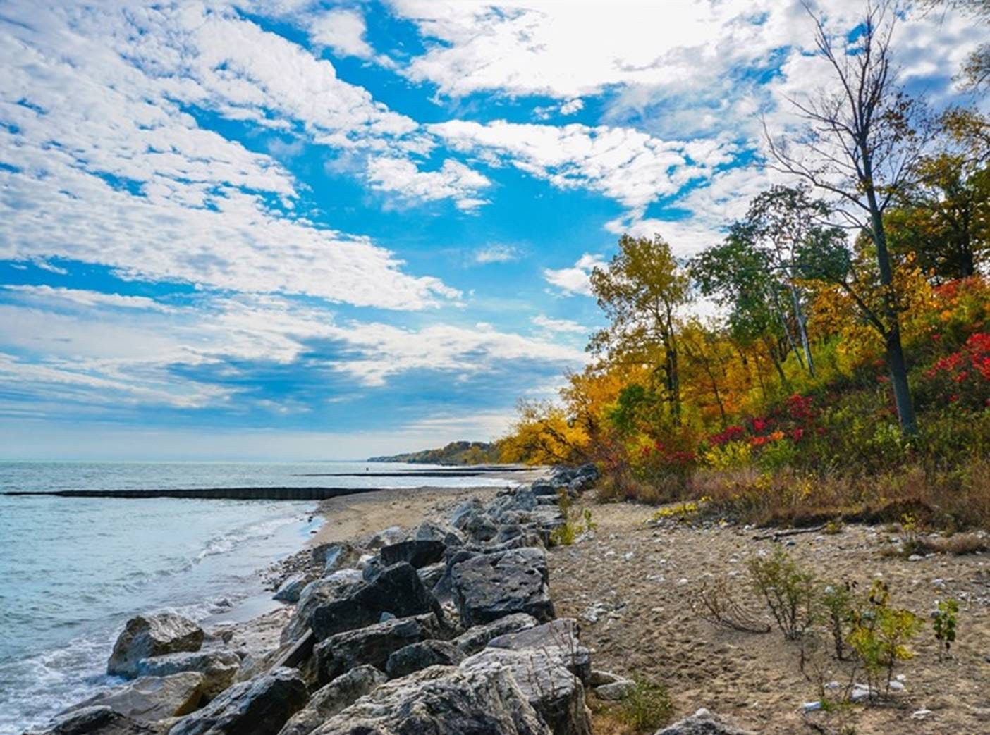 A rocky shore with trees and rocks

AI-generated content may be incorrect.