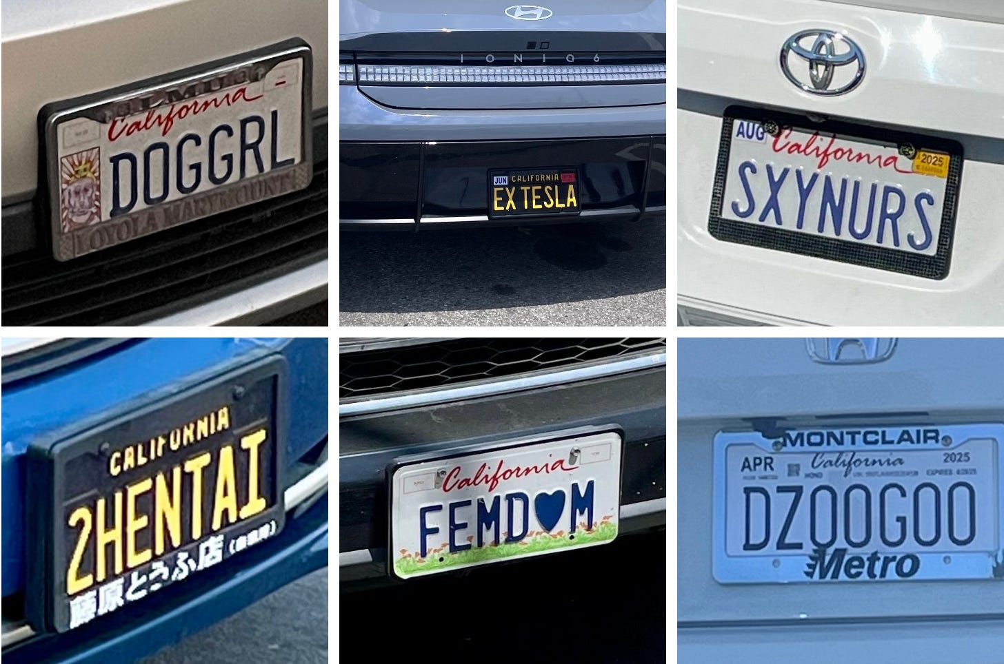 License plates reading DOGGRL, EX TESLA, SXYNURS, 2HENTAI, FEMD❤️M, and DZOOGOO