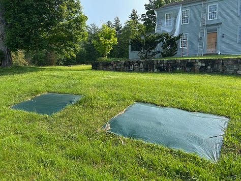 Three pictures showing process of killing off grass to make way for a garden.