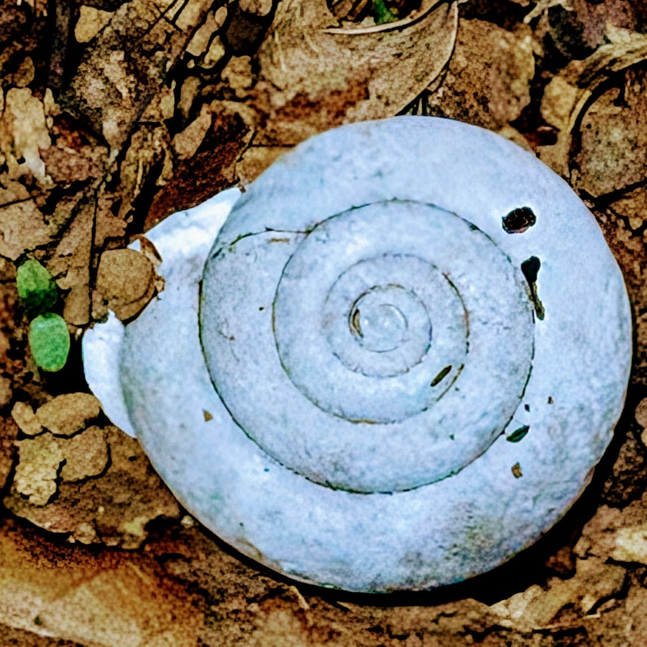 Sounding Slightly Off