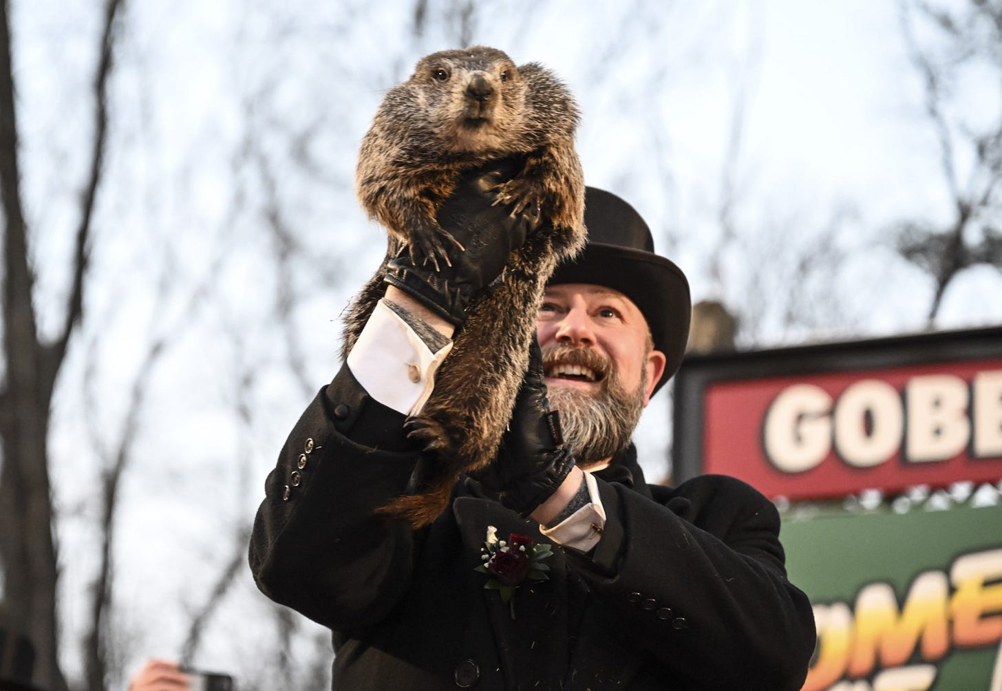Punxsutawney Phil marks 1st Groundhog Day as a father - ABC News