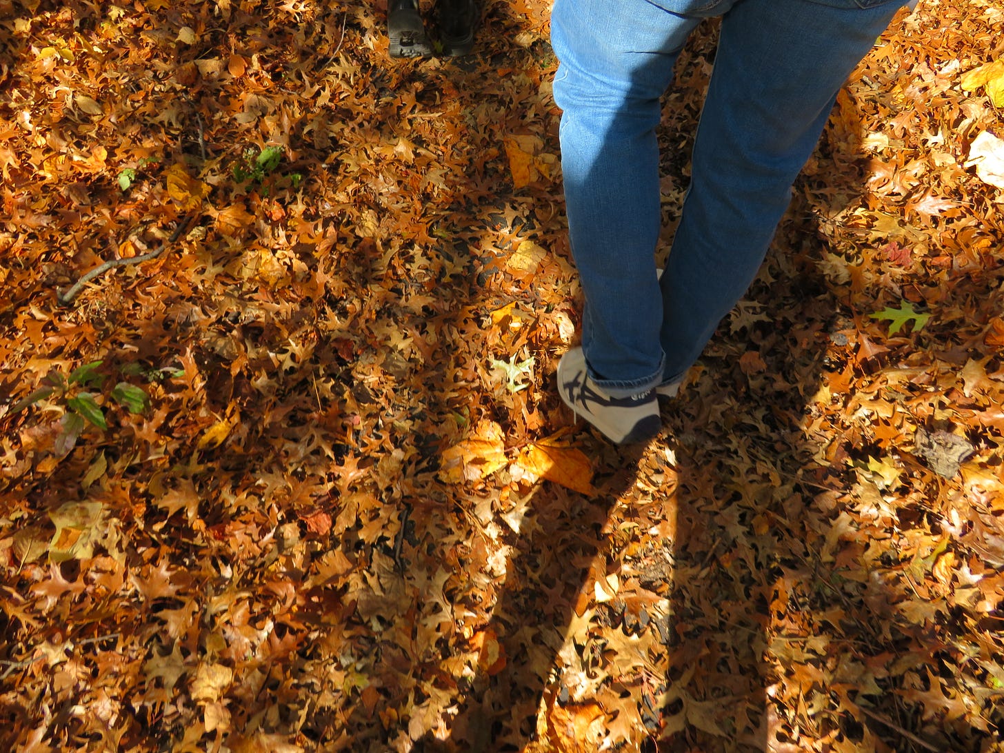 A photograph of two legs and feet shuffling through orange, brown, and yellow leaves.