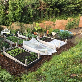 Cornerstones of my kitchen garden No.1
