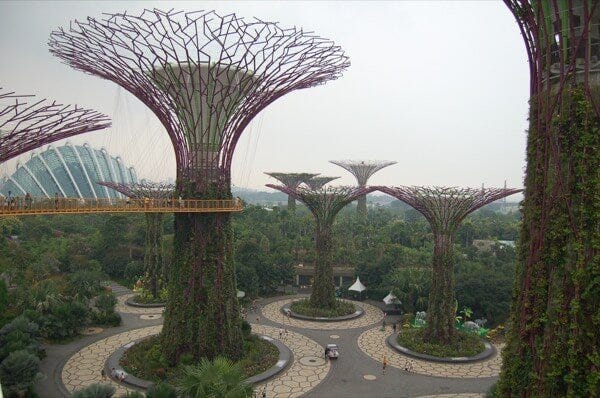 Singapore September 2015 Supertrees Arabian Notes 5