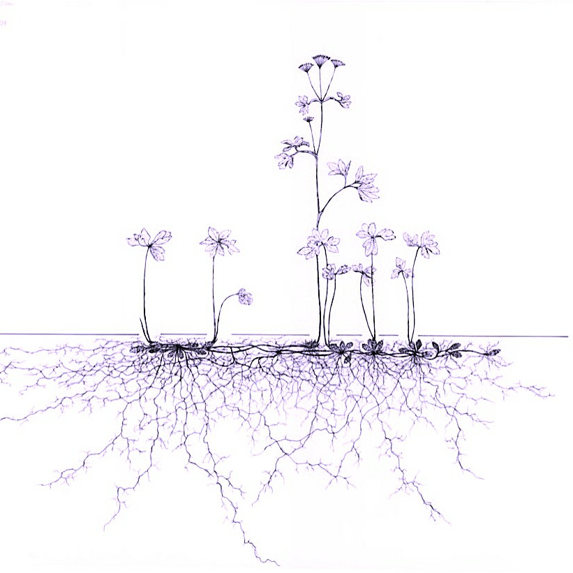 Rhizomatica - Journal of the Oldest Trouble Club