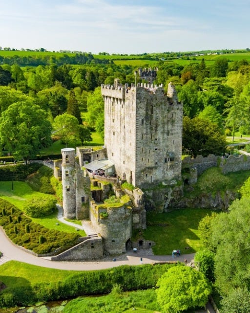 May be an image of castle