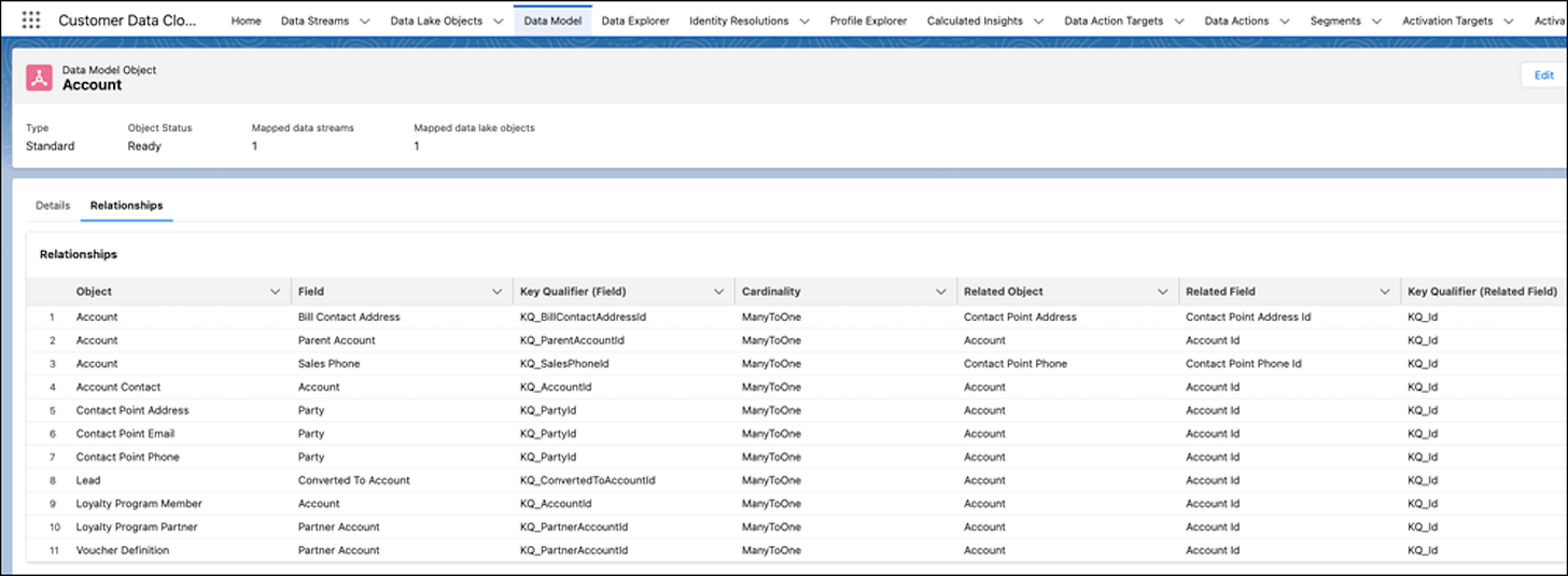 Image shows which key qualier fields are included in dmo relationships.