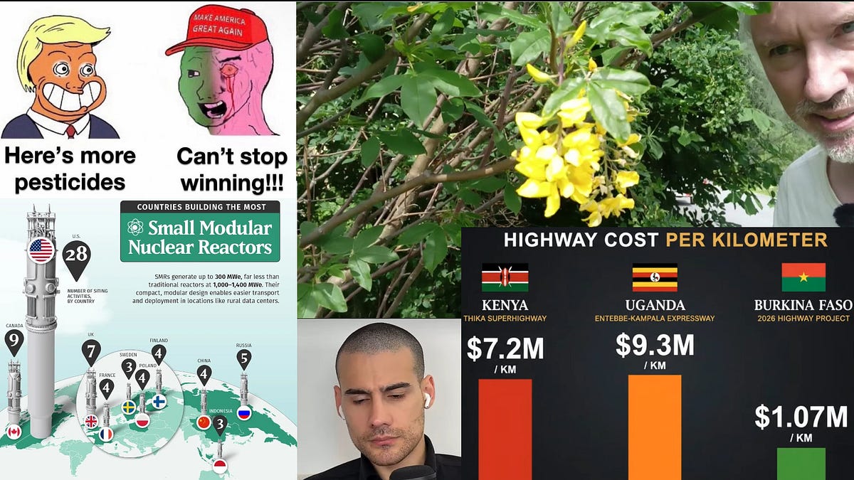 Infrastructure China, Sweden, Burkina Faso. Trump pesticides. 🇿🇦 Lockdown protest. Our 9 front war