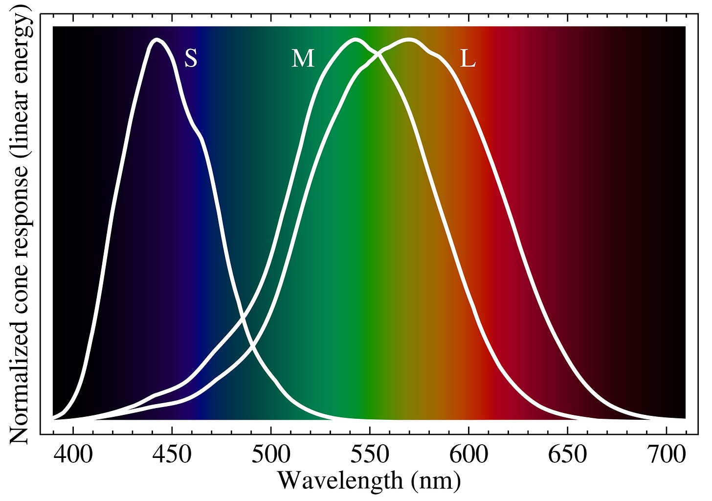 Cone-fundamentals-with-srgb-spectrum.svg