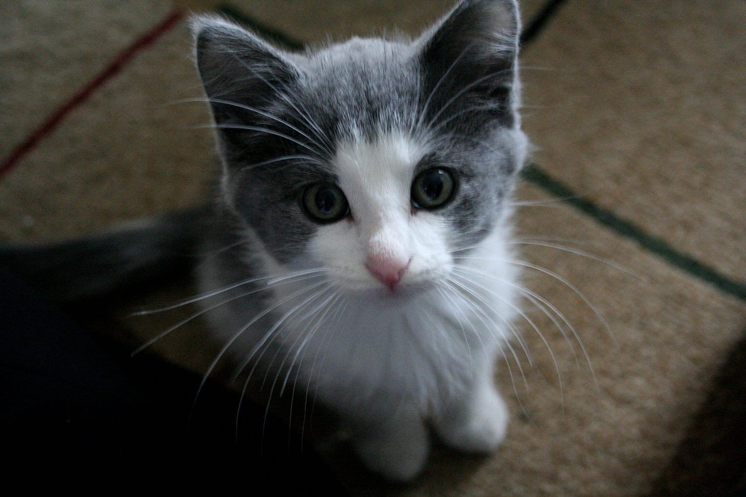 Books to read when you're sad