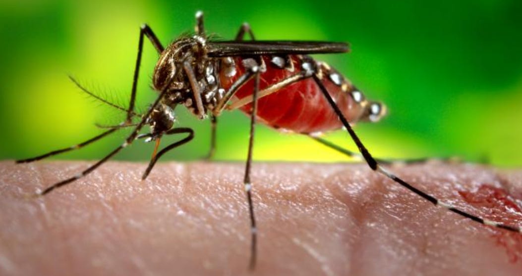 Le Vietnam signale une augmentation de 17 % de la dengue en 2025