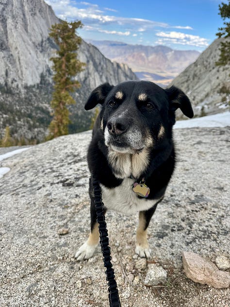 Photos of the Alabama Hills, Whitney Portal, and Lone Pine Lake including Liz and dogs