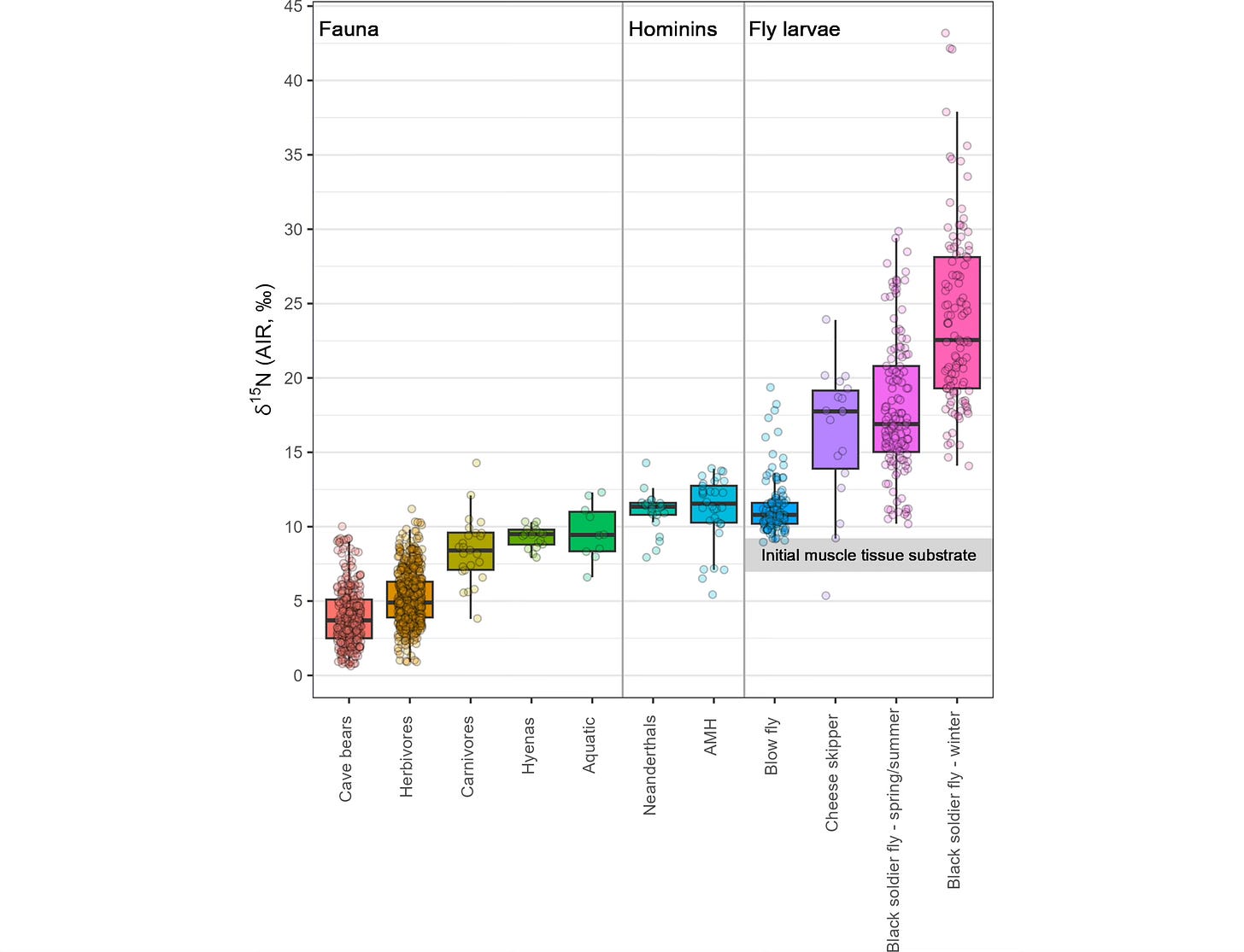 Chart showing level of nitrogen-15 in various species, with Neanderthals higher than most carnivores but not as high as fly larvae Chart showing level of nitrogen-15 in various species, with Neanderthals higher than most carnivores but not as high as fly larvae
