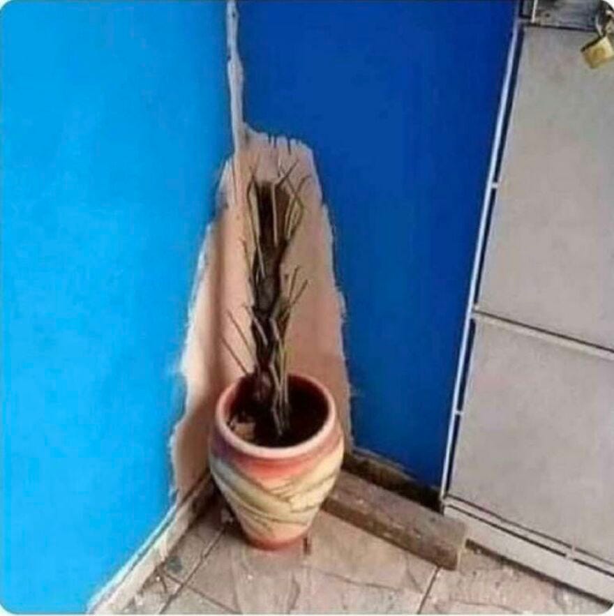 Get Paid For Painting Not Moving Plants
