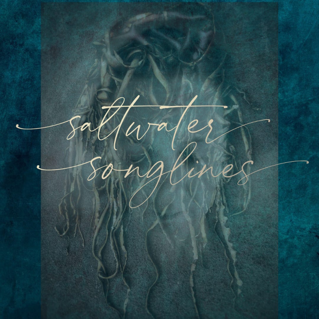 Saltwater Songlines