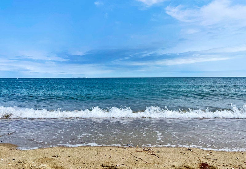 North Shore, Martha's Vineyard