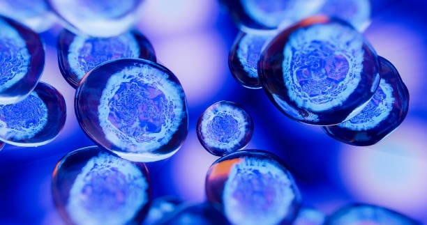 Creative image of embryonic stem cells Cellular therapy. 3d illustration pharma lab stock pictures, royalty-free photos & images
