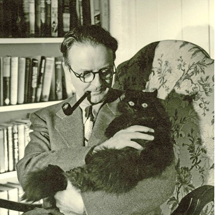 no image description available