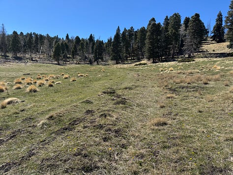 The mixed and wonderful terrain of VC03.