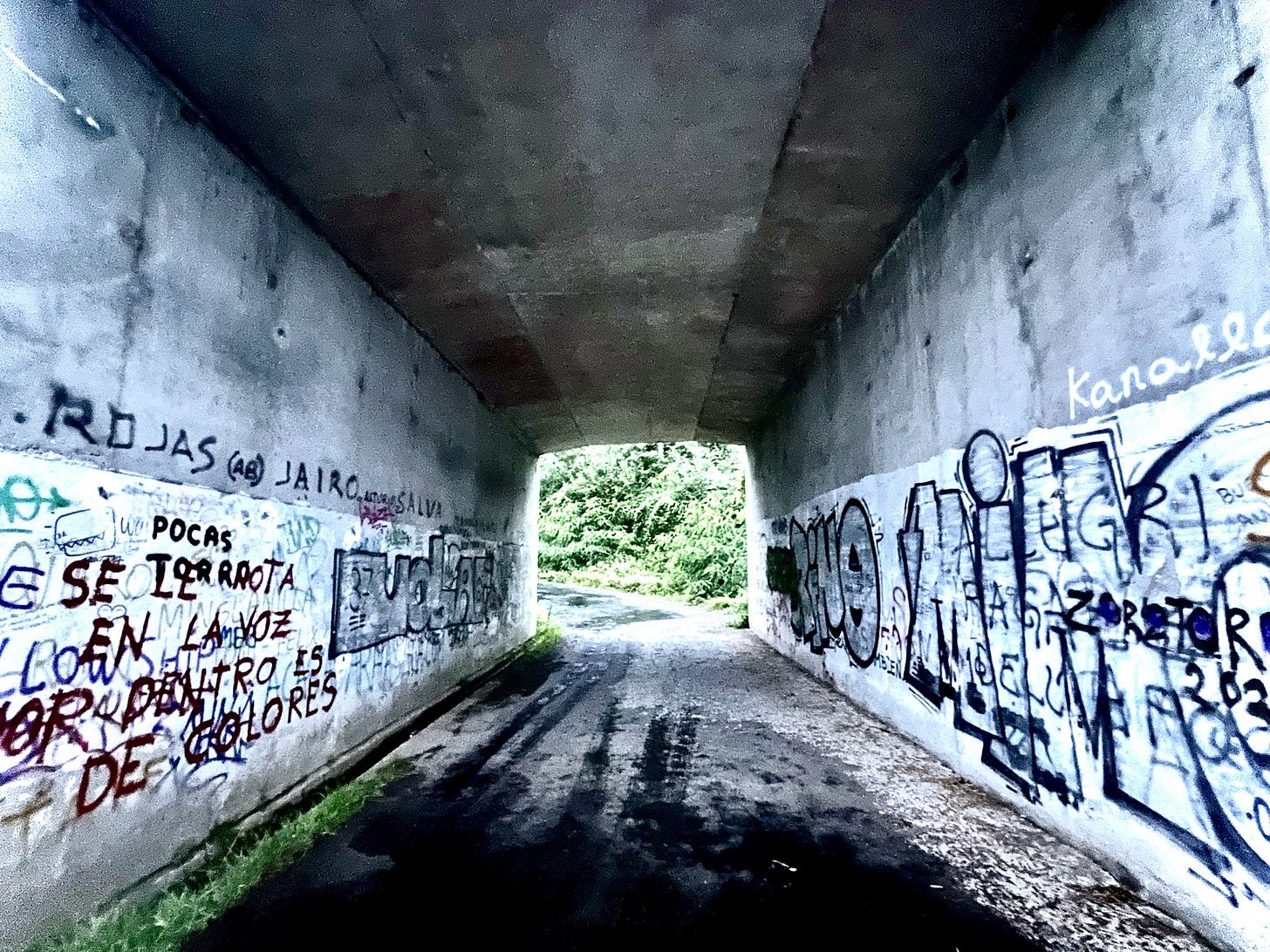underground tunnel on the Camino de Santiago full of graffiti with greenery showing at the end.