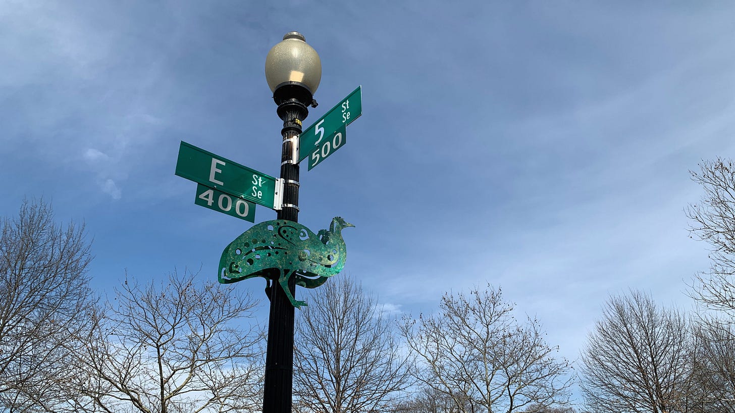 A lightpost black in color with the green DC cross-street signs showing the corner of Et SE and 5th St SE. Below the street signs, there's a small metal sculpture about a foot long of a two-dimensional metal Emu, also green on both sides of the lamp post. The background is of a blue sky with some streaks of clouds and trees without leaves.