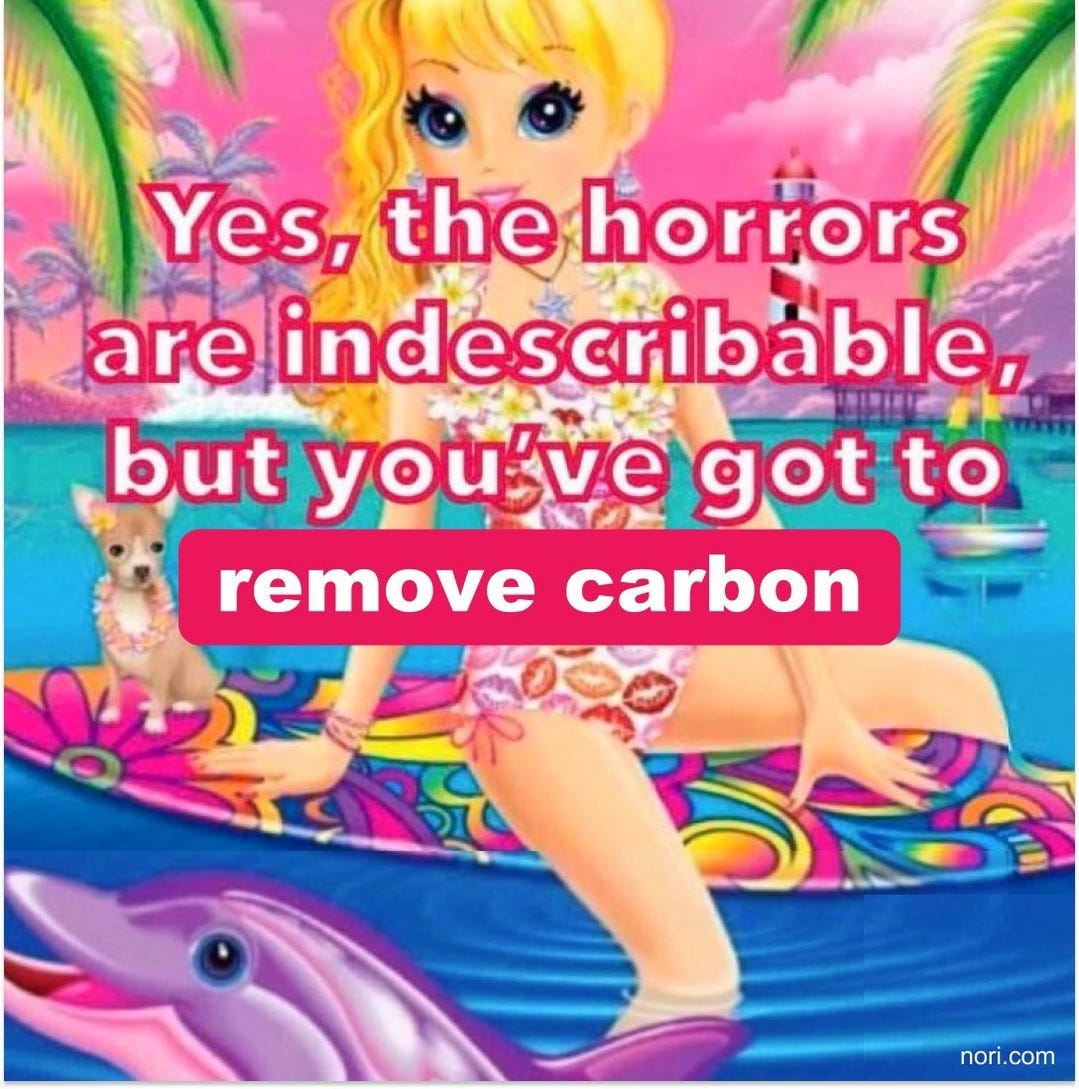 Lisa Frank style illustration of a blonde girl in a bikini on an inflatable. Text: "Yes, the horrors are indescribable, but you've got to remove carbon."