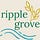 Ripples in Education