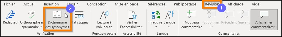 dictionnaire des synonymes le guide
