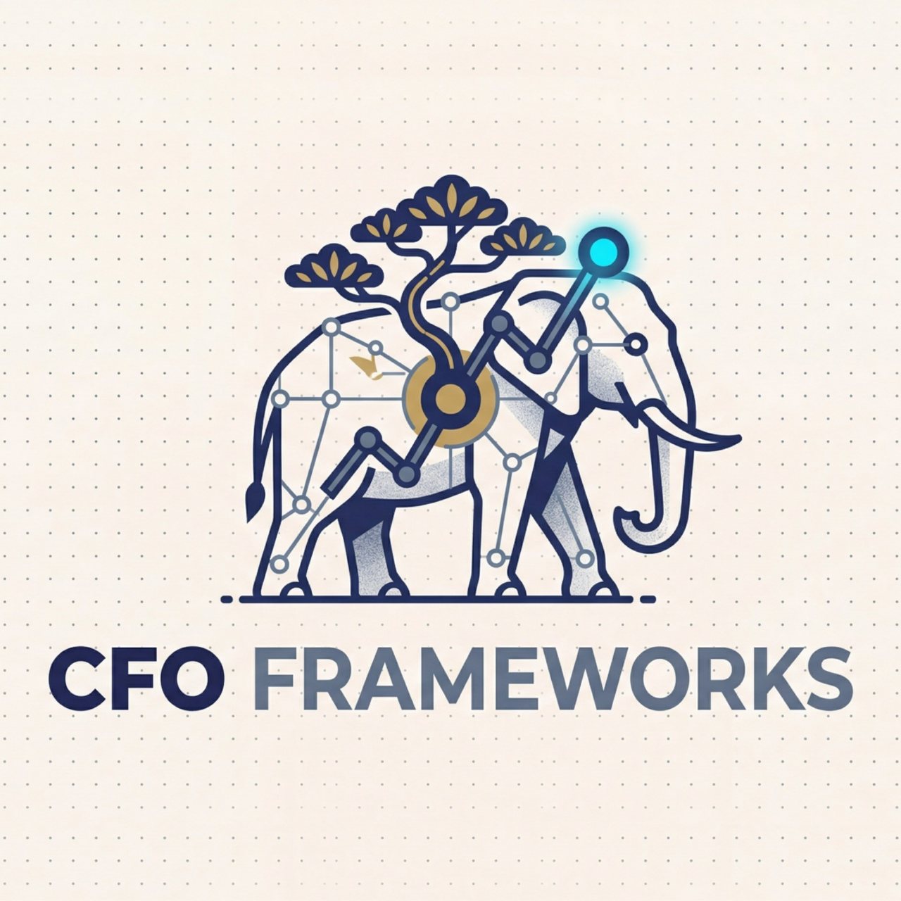 CFO Frameworks