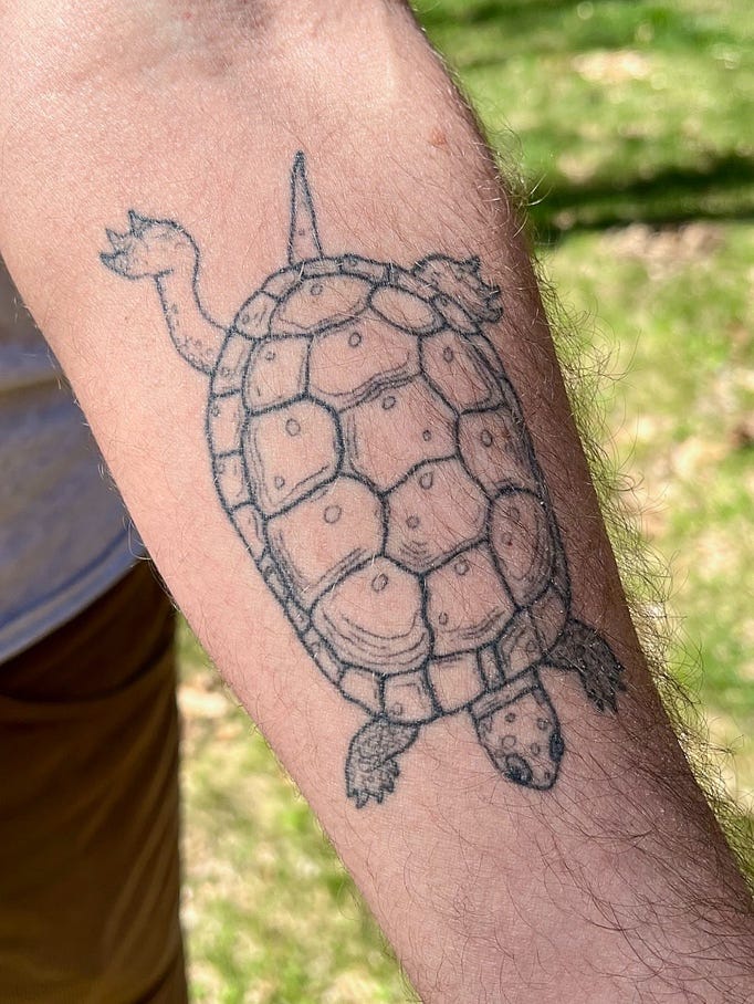A tattoo of a turtle on a person's arm

Description automatically generated