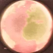 Earth Poet's avatar