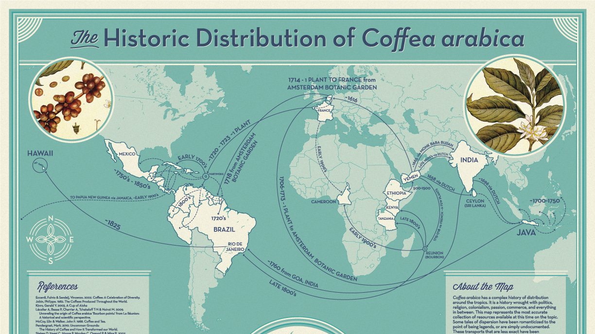 Exploring Coffee's Past To Rescue Its Future : The Salt : NPR