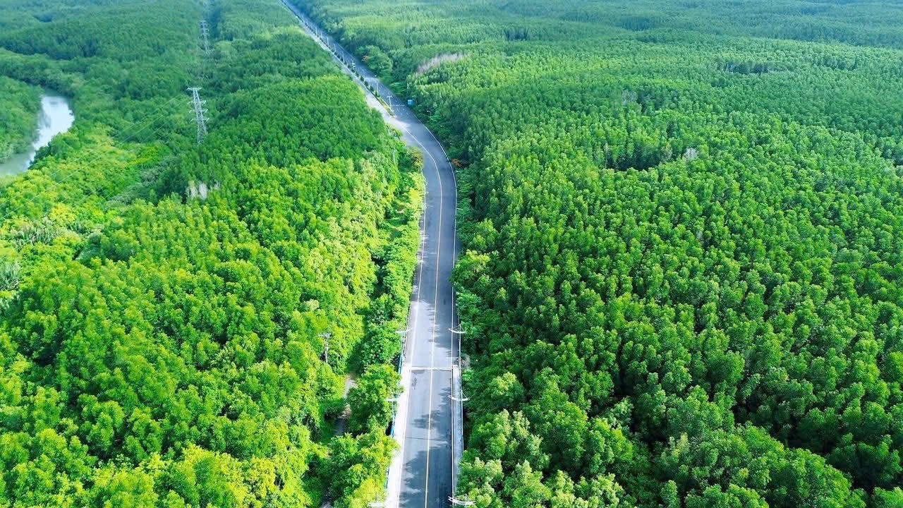 Có thể là hình ảnh về đường