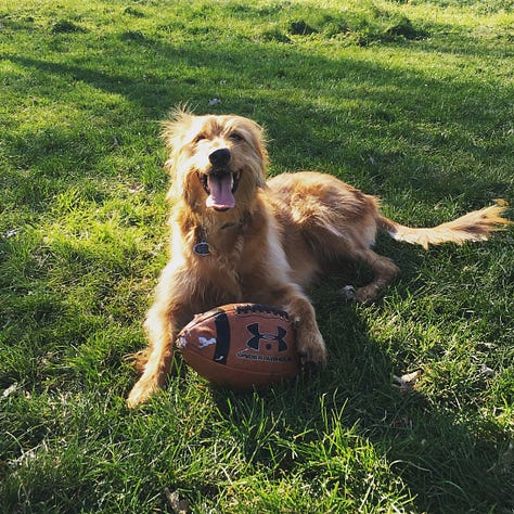 Images of Jordy through the last decade