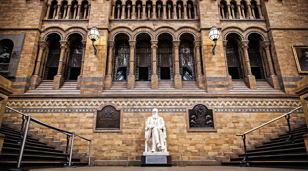 Darwin's Greatest Contribution - by Steve Stewart-Williams