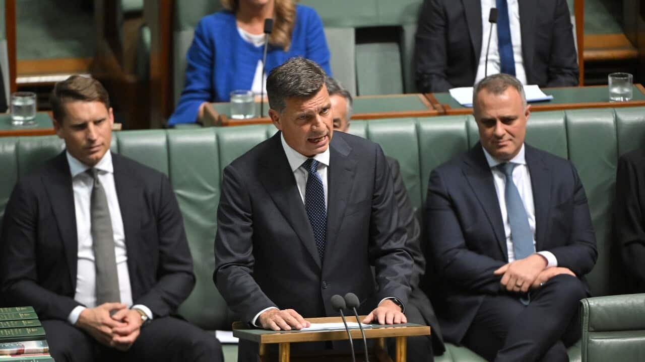 One Nation copy cat? Opposition accused of borrowing Hanson's policies in budget reply | SBS News One Nation copy cat? Opposition accused of borrowing Hanson's policies in budget reply | SBS News