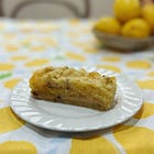 how to beat the elements and the citrus growing challenge + a lemon slice 
