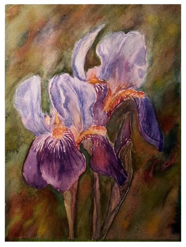 Purple and lavendar irises, one light background, one dark background