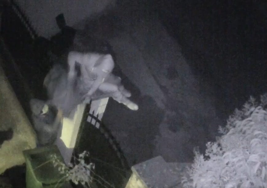 Furti in casa mentre i proprietari dormono. Due casi a Martina Franca.  Controlli a tappeto della polizia - Valle d'Itria News