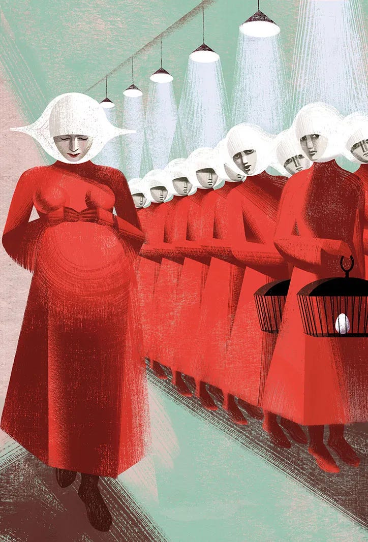 handmaid's-tale_book_the-folio-society_3.jpg