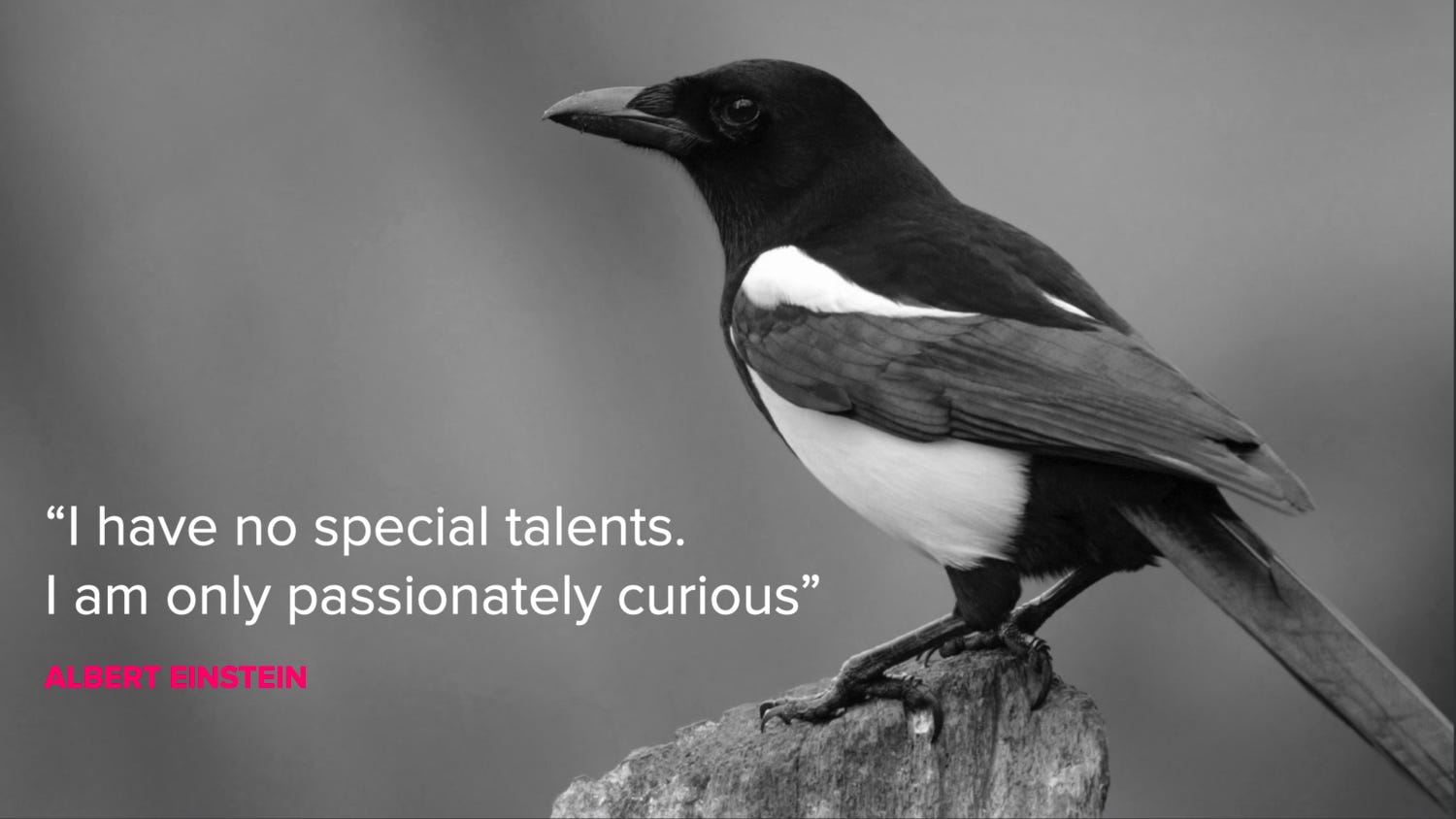 How To Be Super Creative