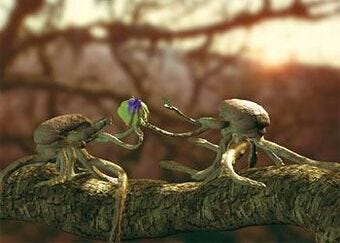 Squibbon | Speculative Evolution Wiki | Fandom Squibbon | Speculative Evolution Wiki | Fandom