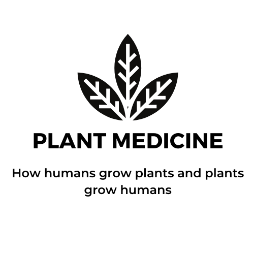 The Plant Medicine Substack